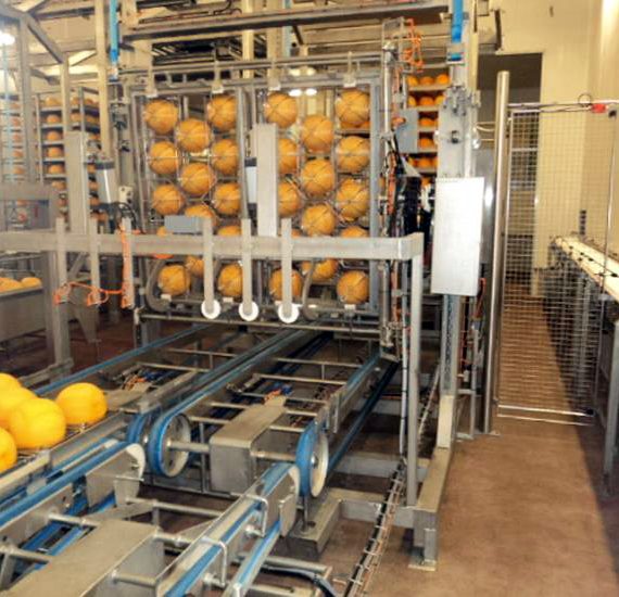 retournement-pates-pressees-3